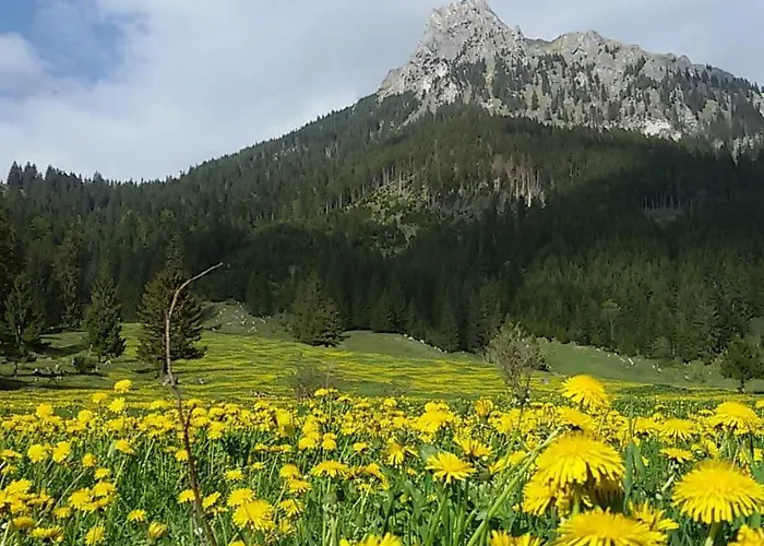 Bergfee Lantgård Nesselwängle