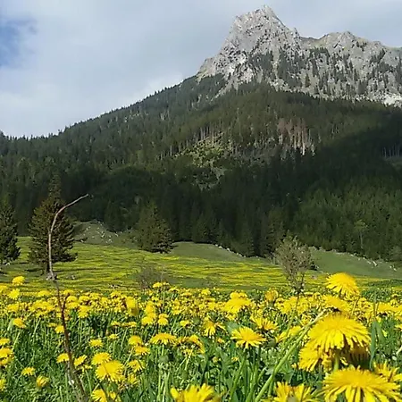 Bergfee Nesselwängle