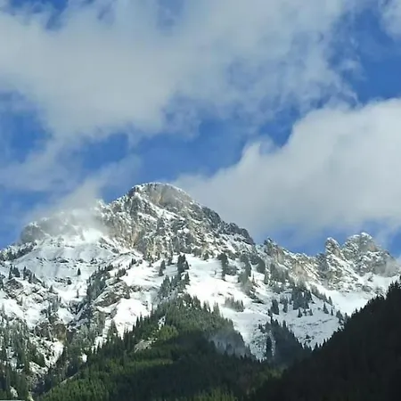 Bergfee * Nesselwängle
